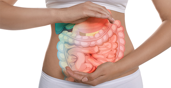a woman holding her hands over her stomach with an illustration of the digestion system and liver/ 