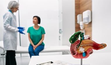 a doctor consulting a lady in the background with a model of a anatomical model of pancreas